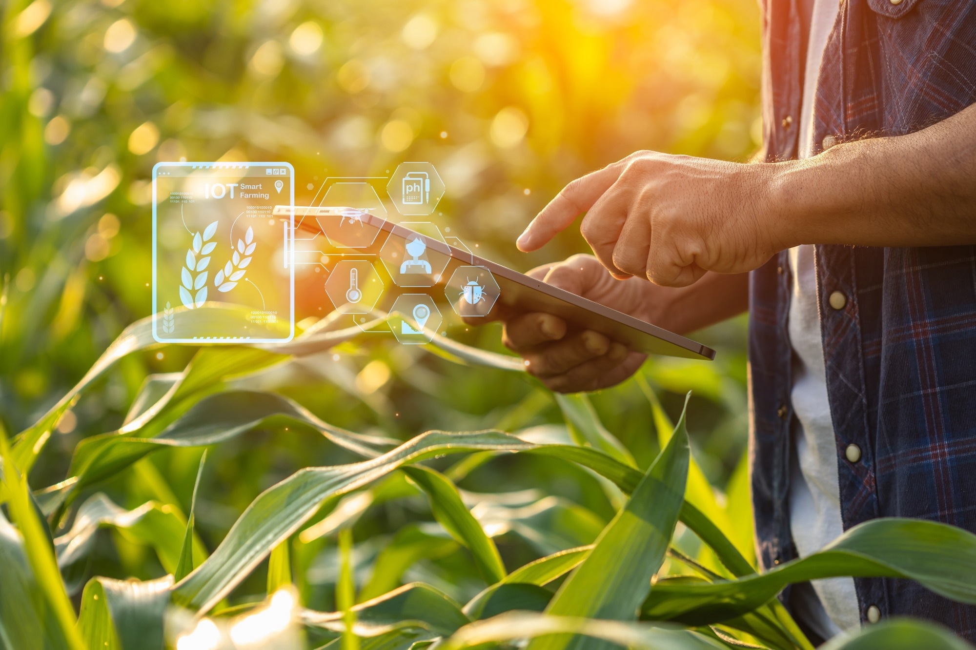 Study: Advancements in Image-Based Crop Yield Calculation. Image credit: SKT Studio/Shutterstock