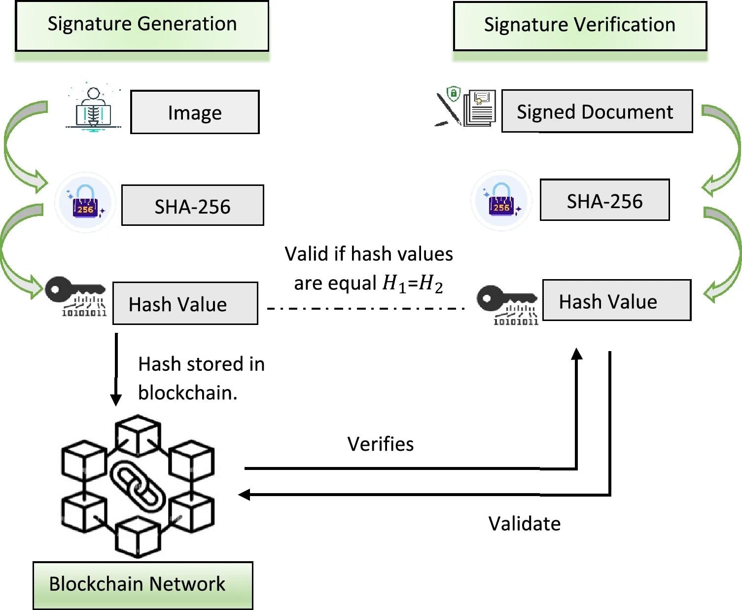 Blockchain based medical image encryption using Arnold’s cat map in a cloud environment. Model of signature generation and verification. https://www.nature.com/articles/s41598-024-56364-z