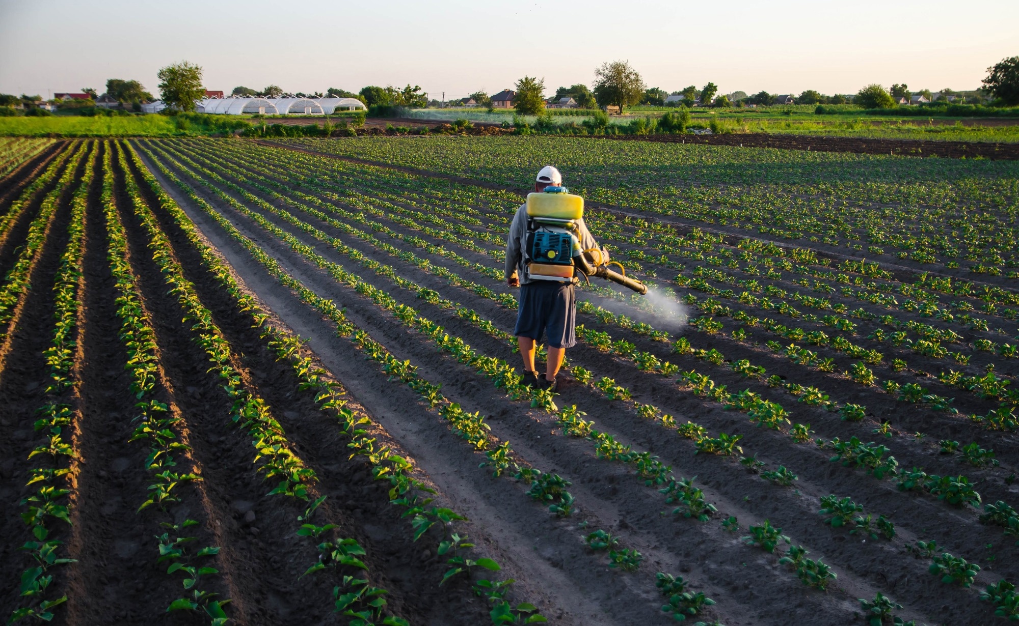 Study: Large Language Models could Revolutionize Pest Management in Agriculture. Image credit: Andrii Yalanskyi/Shutterstock