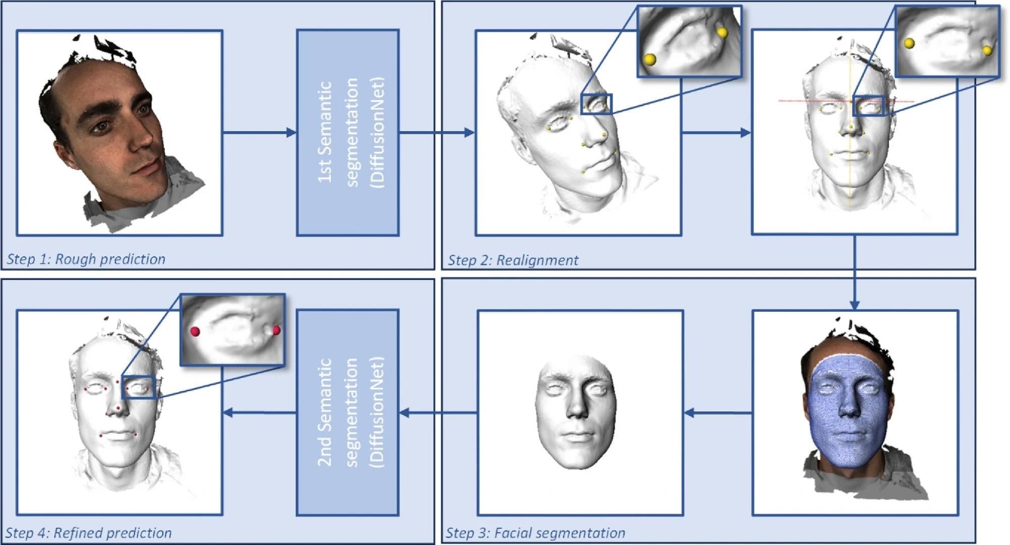 Automated landmarking workflow. Step 1: First semantic segmentation task for rough landmark prediction. Step 2: Realignment of the meshes using the roughly predicted landmarks. Step 3: Facial region segmentation (white) using MeshMonk (blue wireframe). Step 4: Second semantic segmentation task for refined landmark prediction. https://www.nature.com/articles/s41598-024-56956-9
