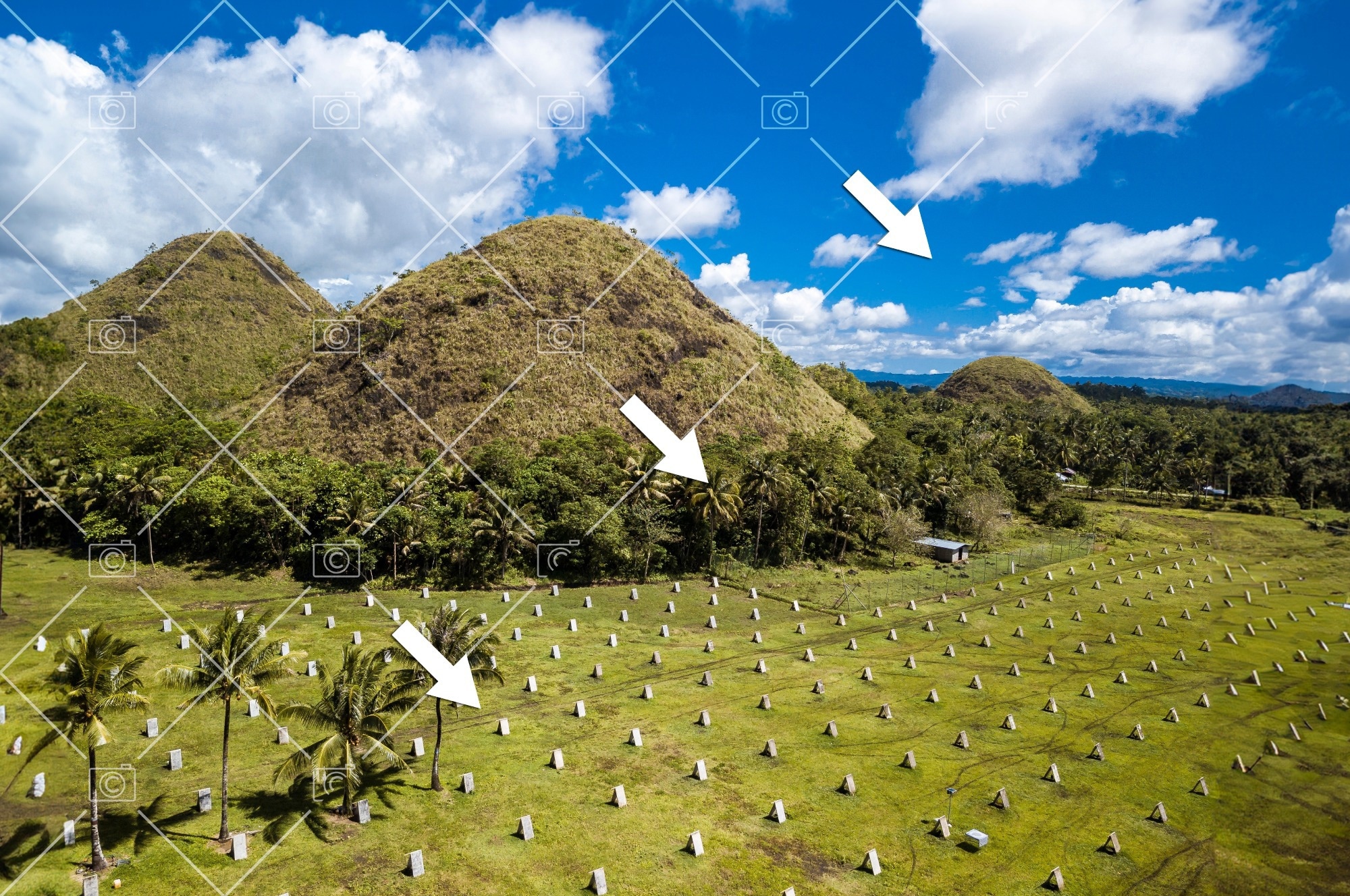 Study: Tracing Model Contamination: Detecting LLM Radioactivity. Image credit: MDV Edwards/Shutterstock