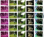 Advanced Image Rectangling with Reparameterized Transformers