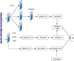 TCN-Attention-HAR Model: Advancing Human Activity Recognition