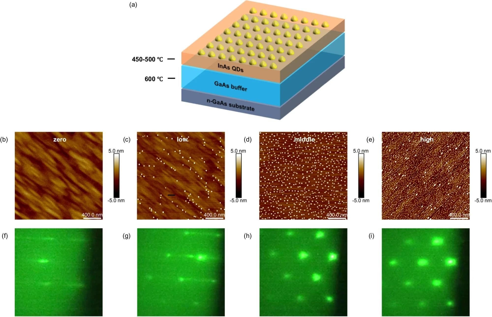 a The schematic of the sample structure. The thick GaAs buffer layer is grown on an n-type GaAs substrate at 600 °C. Subsequently, the substrate is cooled to 450–500 °C for the growth of InAs QDs. b–e The 2 μm × 2 μm atomic force microscope (AFM) images of QDs with varied labels. “zero”: there are no QDs on the surface. “low”: the InAs QDs sample with density less than 1 × 1010 cm−2. “middle”: the InAs QDs sample with density range from 1 × 1010 cm−2 to 4 × 1010 cm−2. “high”: the InAs QDs sample with density higher than 4 × 1010 cm−2. f–i Corresponding reflection high-energy electron diffraction (RHEED) images with varied labels. https://www.nature.com/articles/s41467-024-47087-w