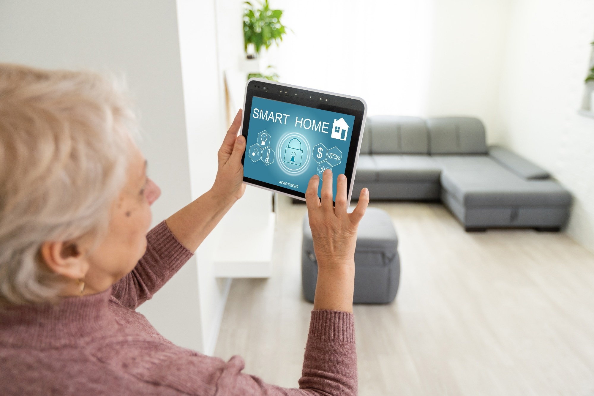 Study: Insights into Smart Home Adoption Among China