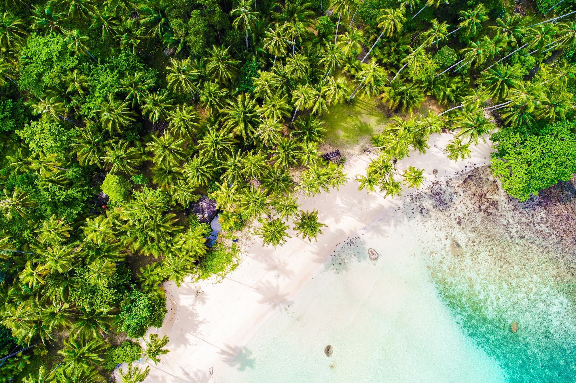 Study: Small Target Detection in UAV Aerial Images with a Multi-Scale Detection Network. Image Credit: Makhh/Shutterstock