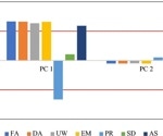 Integrated Machine Learning for Enhancing Footing Stability Prediction in Shallow Foundations
