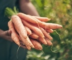 Carrot Quality Assessment Using Hyperspectral Imaging and Multivariate Analysis