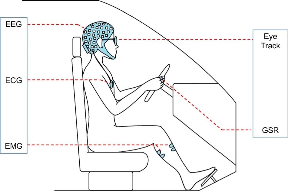 Location of all sensors. The EEG cap, EMG electrodes, GSR electrodes, ECG electrodes, and eye tracker are placed in the positions as shown. Image Credit: https://www.nature.com/articles/s41597-024-03222-2