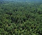 TreeFormer: Revolutionizing Tree Counting in Aerial and Satellite Images with Transformer Power