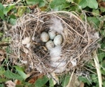 YOLOv8-PG: Lightweight and Efficient Model for Pigeon Egg Detection