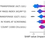 Explainable ML for High-Risk Non-Alcoholic Steatohepatitis Prediction