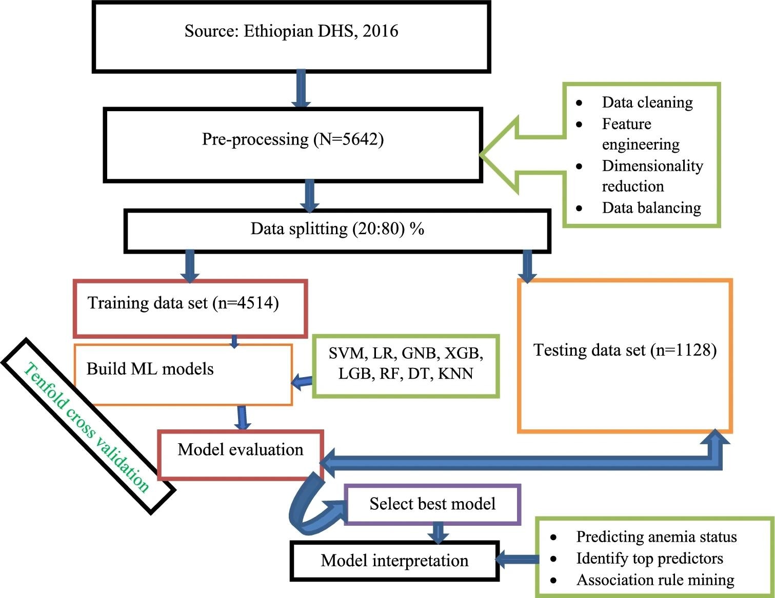 Study workflow diagram. Image Credit: https://www.nature.com/articles/s41598-024-60027-4