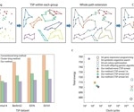 Superparamagnetic Ising Machines: Efficient Solutions for Optimization Problems