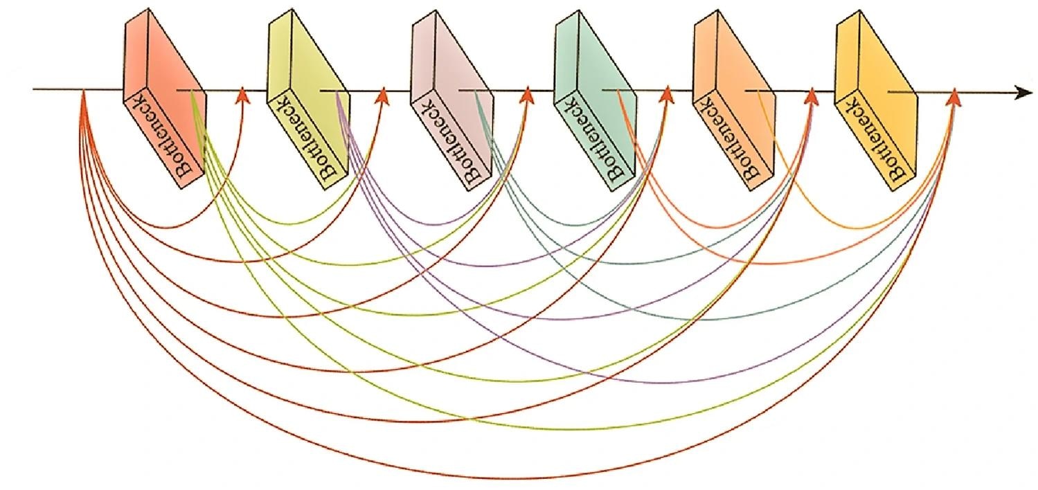 Graphical representation of dense block. Image Credit: https://www.nature.com/articles/s41598-024-60139-x