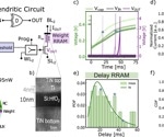 DenRAM: Revolutionary Synaptic Architecture for Temporal Signal Processing