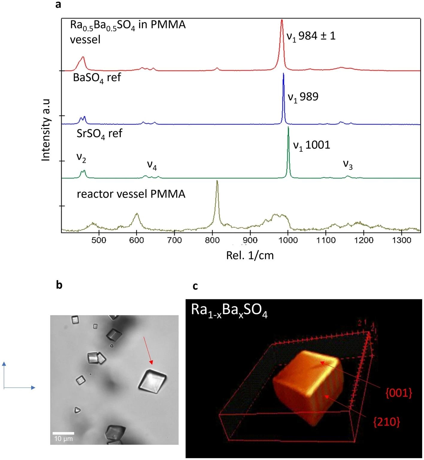 Raman spectroscopic analysis of (Ba,Ra)SO4 crystals. (a) Raman spectra of a typical crystal that precipitated in the microfluidic reactor and standard spectra of commercial BaSO4 and SrSO4 and the microfluidic reactor vessel; (b) an example of a pseudo rhombohedral crystal of (Ba,Ra)SO4 on which further Raman measurements were done to reconstruct its (c) 3D geometry. Image Credit: https://www.nature.com/articles/s41598-024-59888-6
