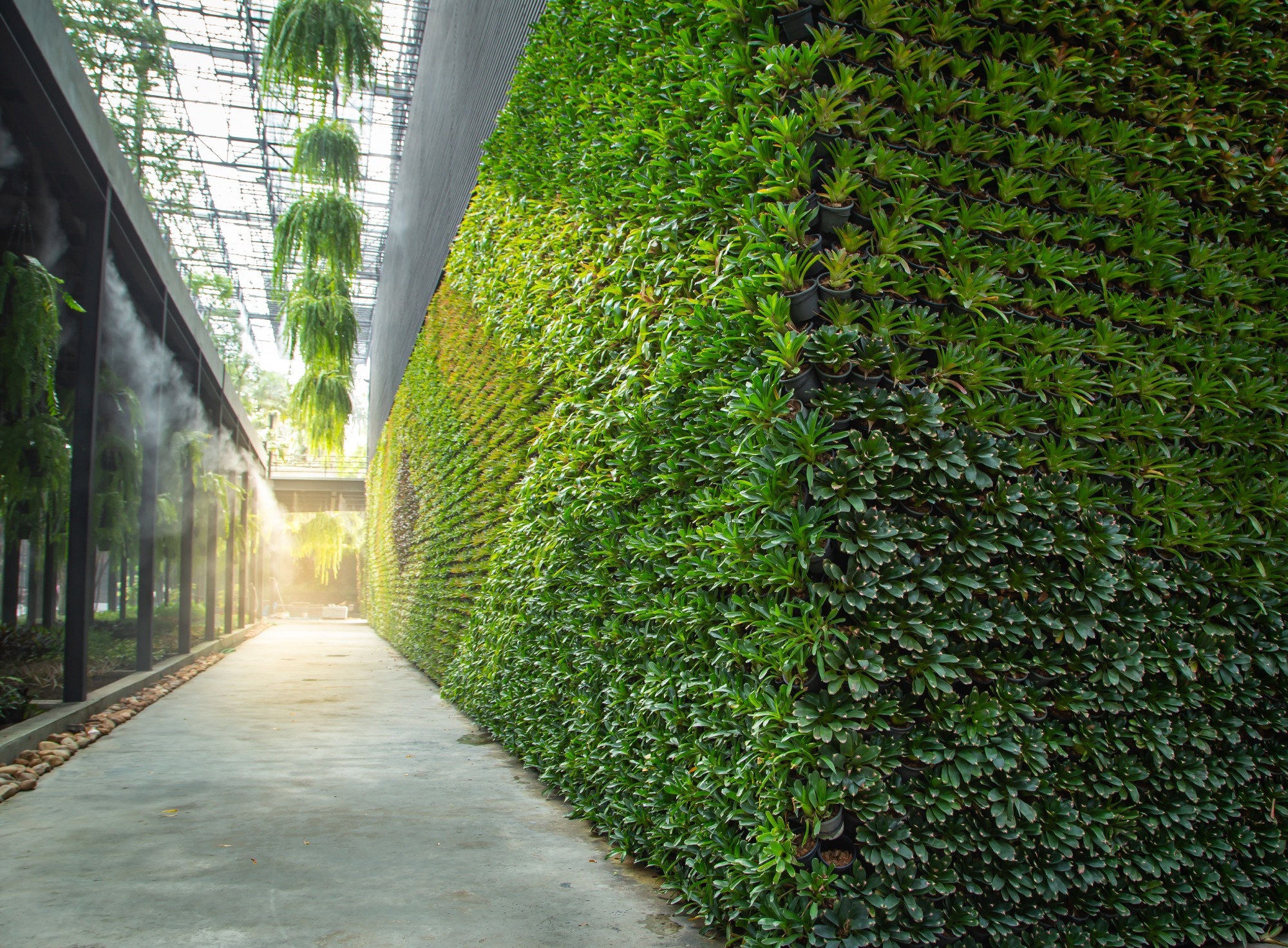 Study: Swin Transformer-Based Method for Water Deficit Detection in Vertical Greenery Plants. Image Credit: Itsanan/Shutterstock
