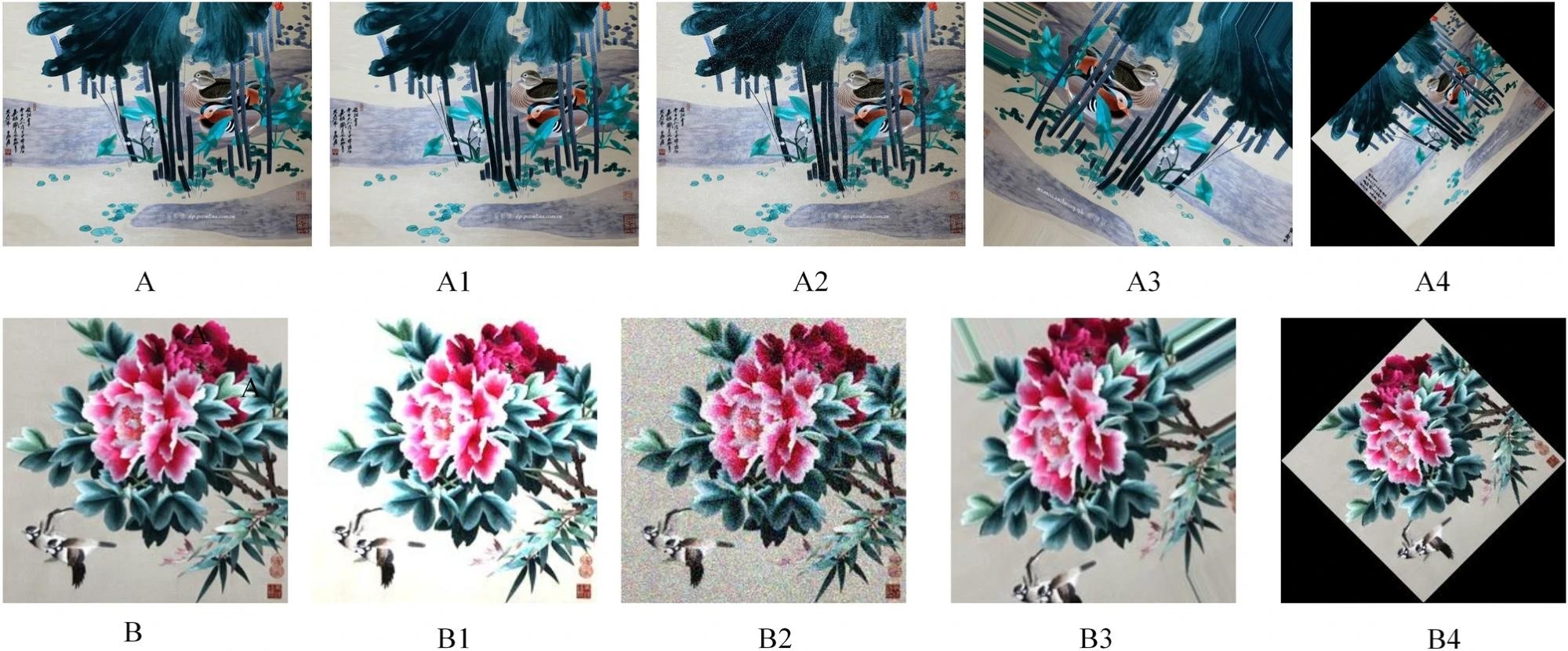 The image of data augmentation. Image Credit: https://www.nature.com/articles/s41598-024-60121-7