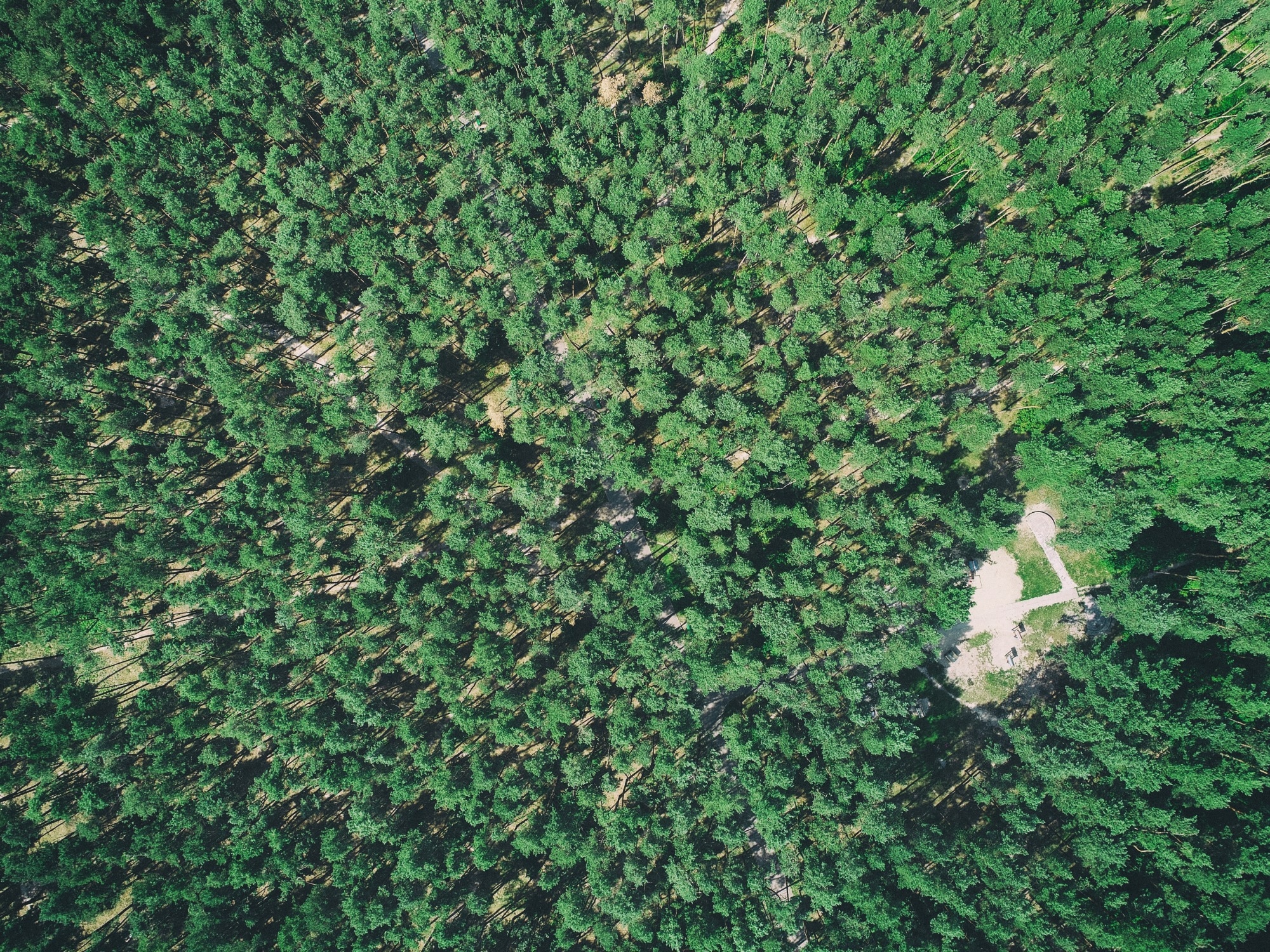 Study: MST-DeepLabv3+ for Semantic Segmentation Remote Sensing Images. Image Credit: Vedmed85/Shutterstock