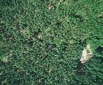 MST-DeepLabv3+ for Semantic Segmentation Remote Sensing Images