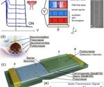 Neuromorphic Computing: Harnessing Spintronics' Potential