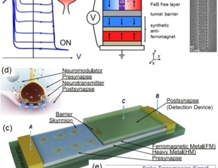 Neuromorphic Computing: Harnessing Spintronics' Potential