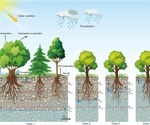 SiTHv2: A Model for Global Evapotranspiration and Soil Moisture Dynamics