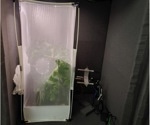 InsectSound1000: A Rich Dataset for Acoustic Insect Monitoring