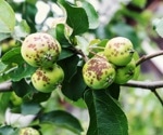 Machine Learning Revolutionizes Plant Disease Detection