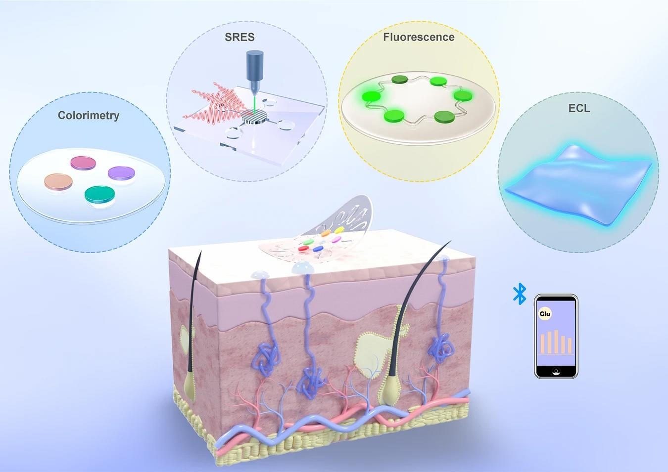 Schematic of wearable optical sweat platforms for personalized monitoring. Four types of optical sweat sensors, including colorimetry, surface-enhanced Raman scattering (SERS), fluorescence, and electrochemiluminescence (ECL) sensors. Image Credit: https://www.nature.com/articles/s43246-024-00518-z