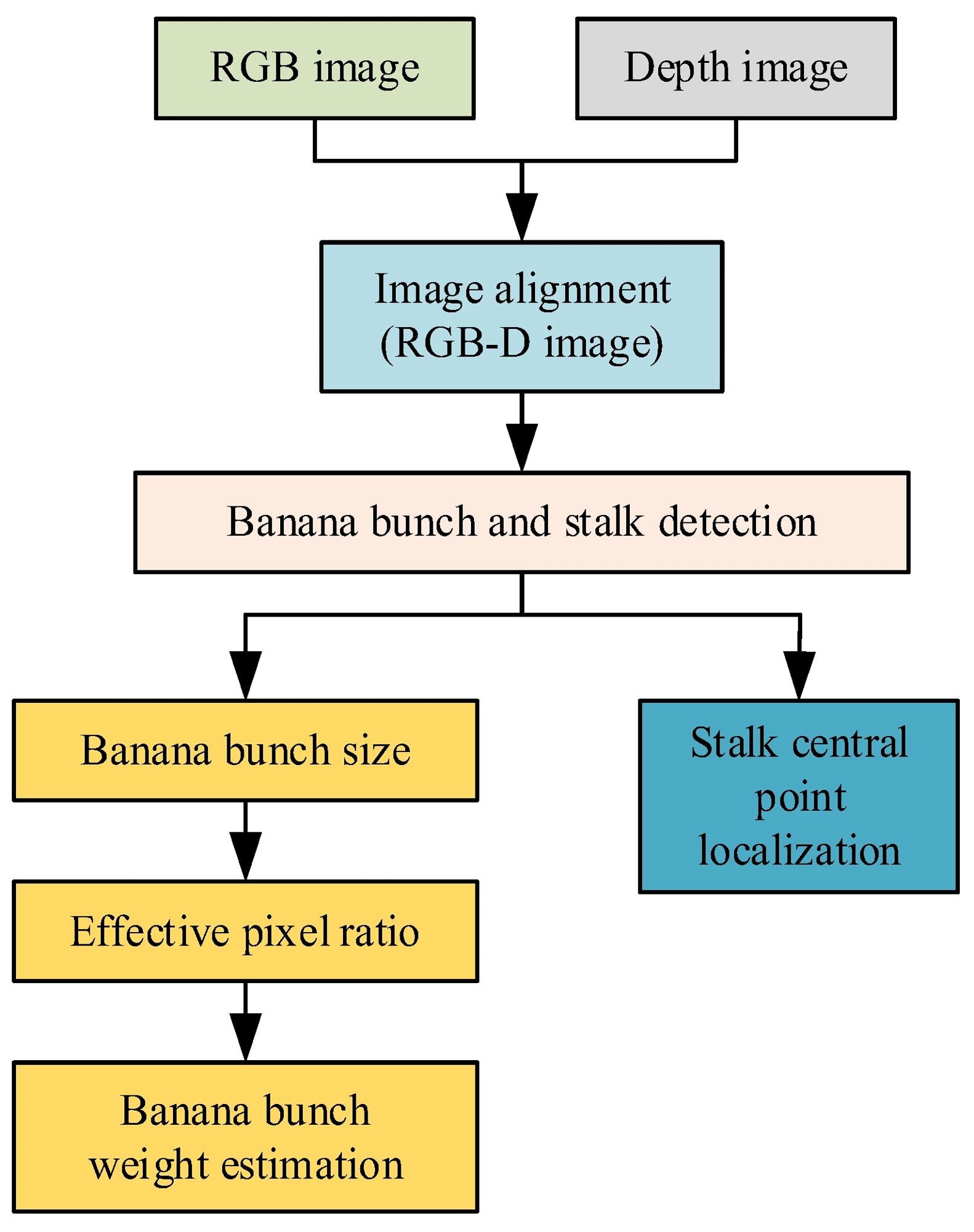 The flowchart of the algorithm. Image Credit: https://www.mdpi.com/2073-4395/14/6/1123