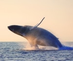 AI Underwater Guardian: MARLIN Bot Leaps Forward in Real-Time Ocean Protection