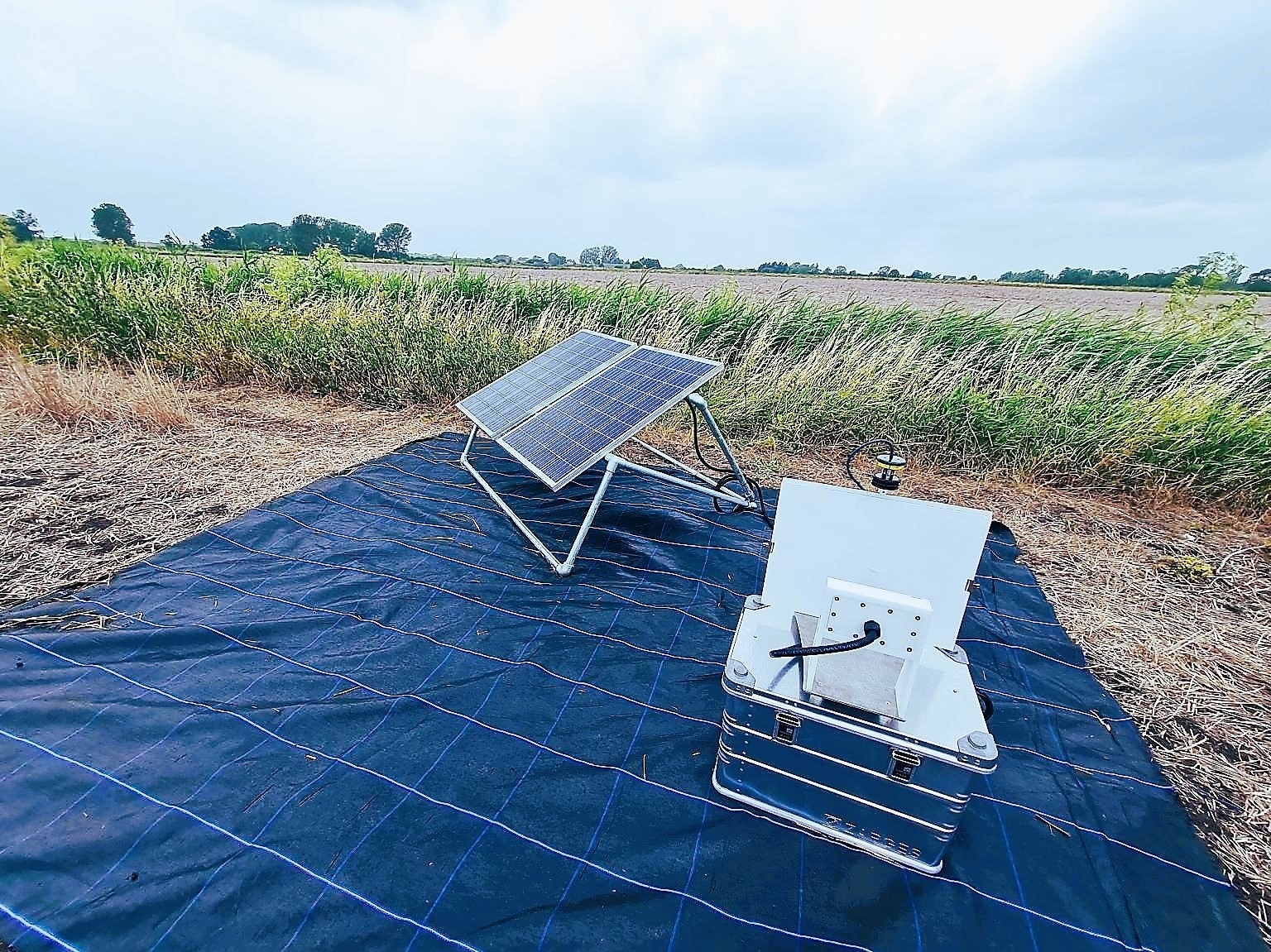 Scientists are using automated wildlife sensors and artificial intelligence (AI) over the next four years to demonstrate the effectiveness of agri-environment and peatland restoration schemes in improving biodiversity.