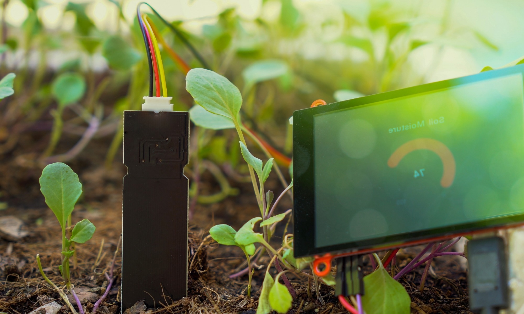 Study: Weed Classification in Precision Farming. Image Credit: Laky Art/Shutterstock