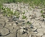 Soybean Drought Tolerance Assessment Using UAV and AI