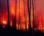 Harnessing the Power of Machine Learning for Forest Fire Management: A Review