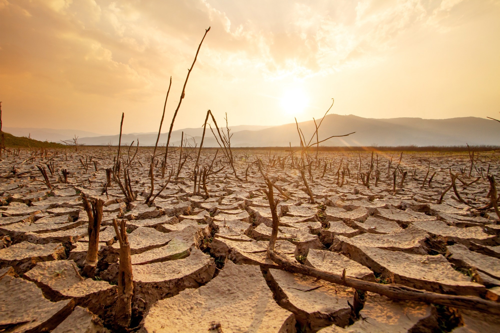 Study: Drought Prediction with Deep Learning. Image Credit: Piyaset/Shutterstock