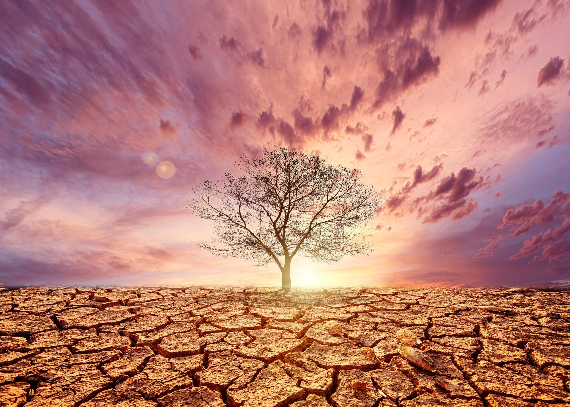 Study: Unveiling Drought Impacts: How Explainable Machine Learning Revolutionizes Prediction and Assessment. Image Credit: i am adventure/Shutterstock