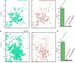 Enhancing NMR Spectroscopy for Large Biomolecules Using AI