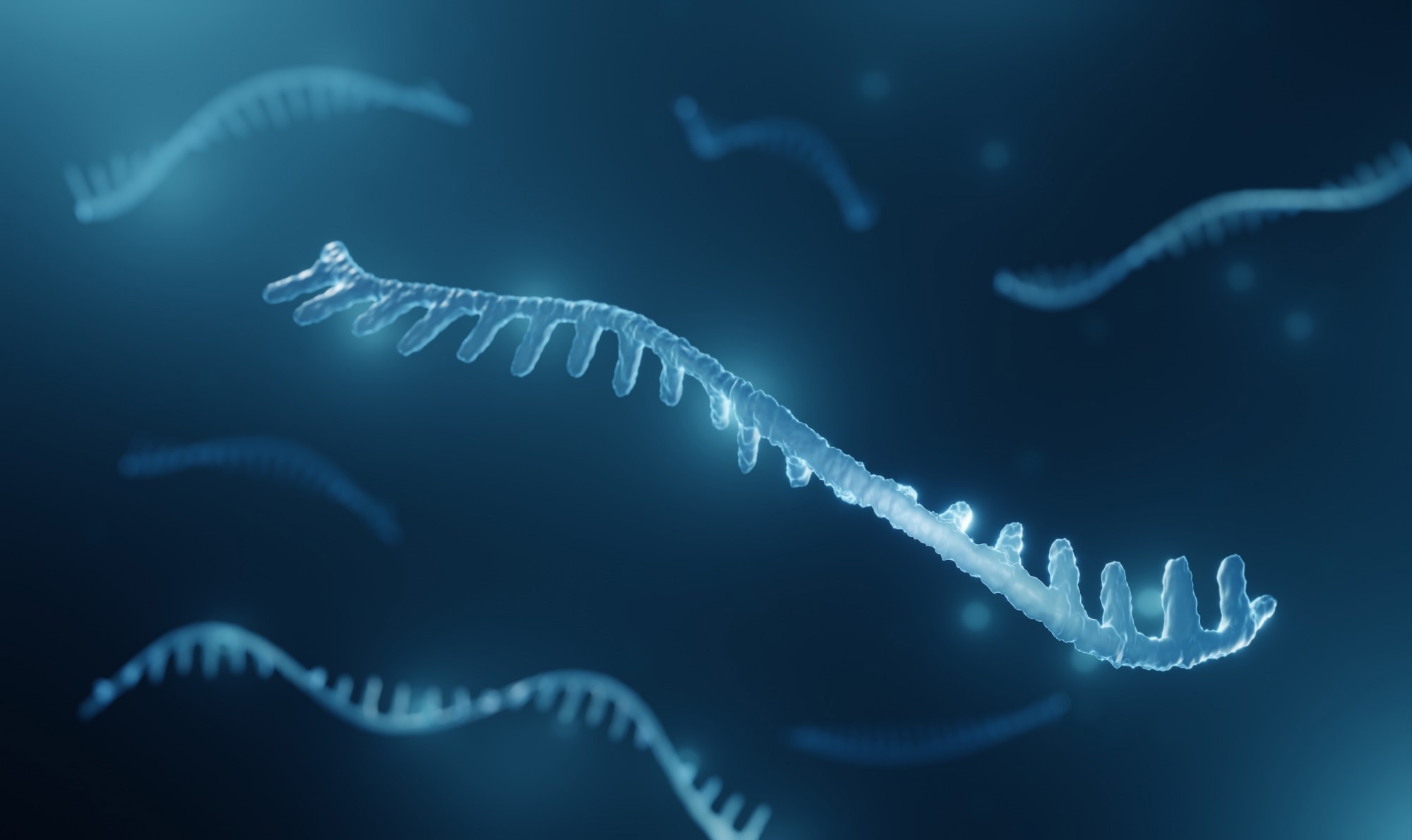 Study: Exploration of the Relevance of MicroRNA Signatures for Cancer Detection and Multiclass Cancer Classification. Image Credit: ART-ur / Shutterstock