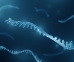 Machine Learning Uncovers Promising miRNA Biomarkers