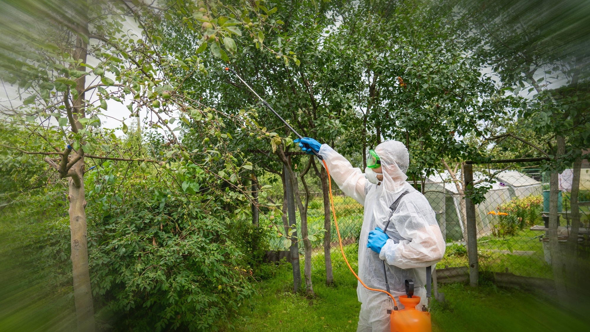 Study: SensorNet: Enhancing Fruit Contamination Detection with DL and Chemical Sensors. Image Credit: AntonSAN/Shutterstock.com