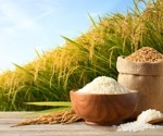 Predicting Rice Production with Precision Using AI