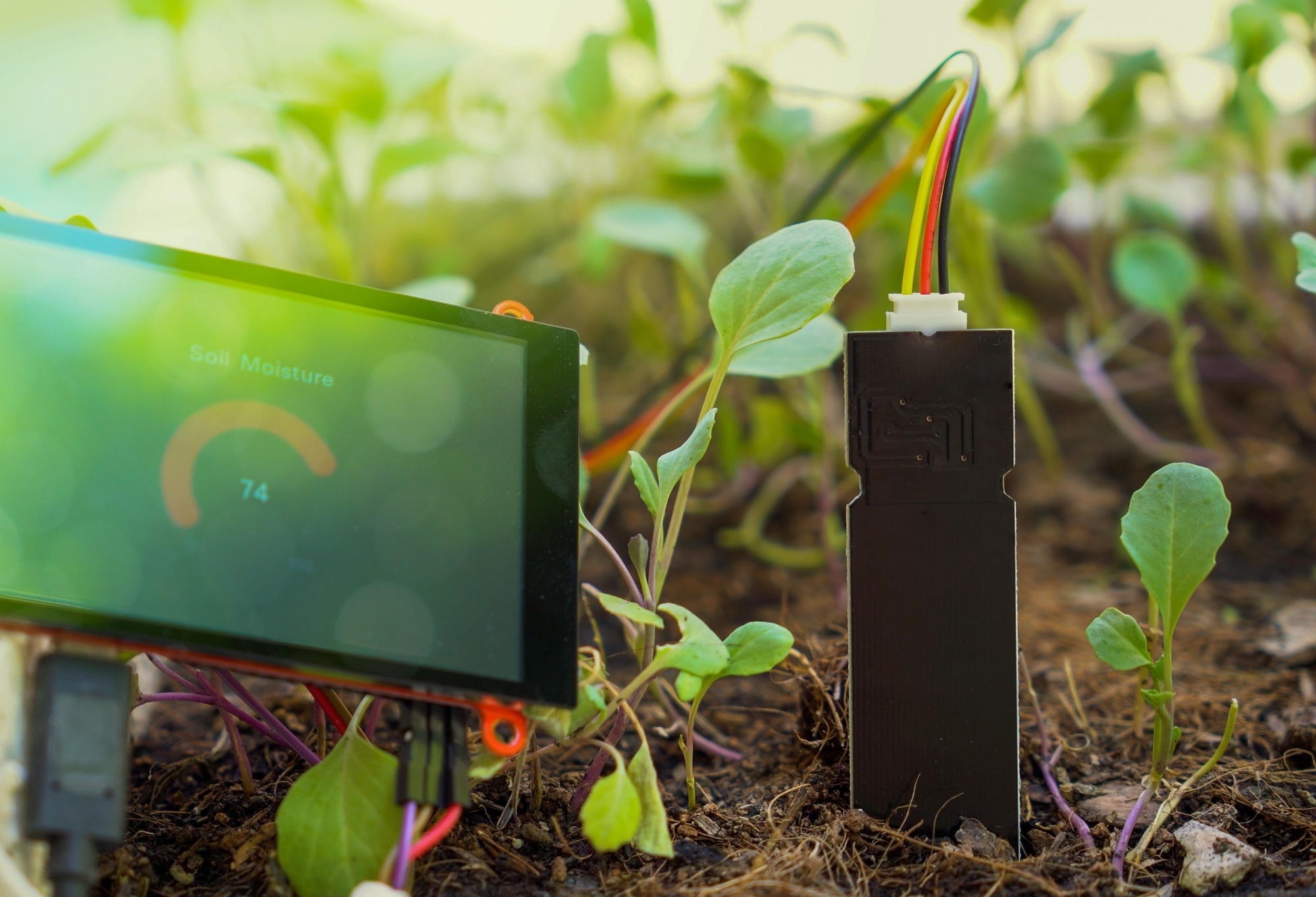 Study: AI Boosts Weed Detection in Precision Agriculture. Image Credit: AdityaPradana/Shutterstock