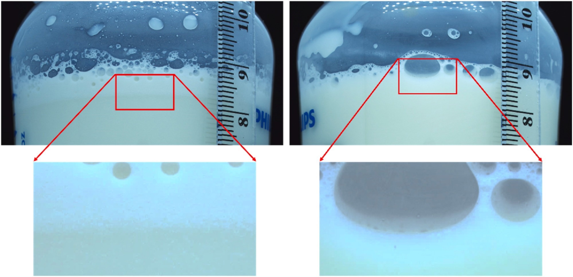 Bubble size and foam-mixture boundary in different mixtures (left: mixture C1 with small bubbles, right: mixture P1 with elliptical bubbles) – mixtures were prepared and photographed automatically using the platform. Image Credit: https://www.sciencedirect.com/science/article/pii/S0260877424002954