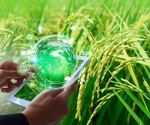 Precision Weed Detection Transforms Rice Farming