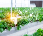 AI-Powered Early Diagnosis of Strawberry Wilt