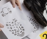 Enhanced YOLO Model Detects Overlapping Shoeprints