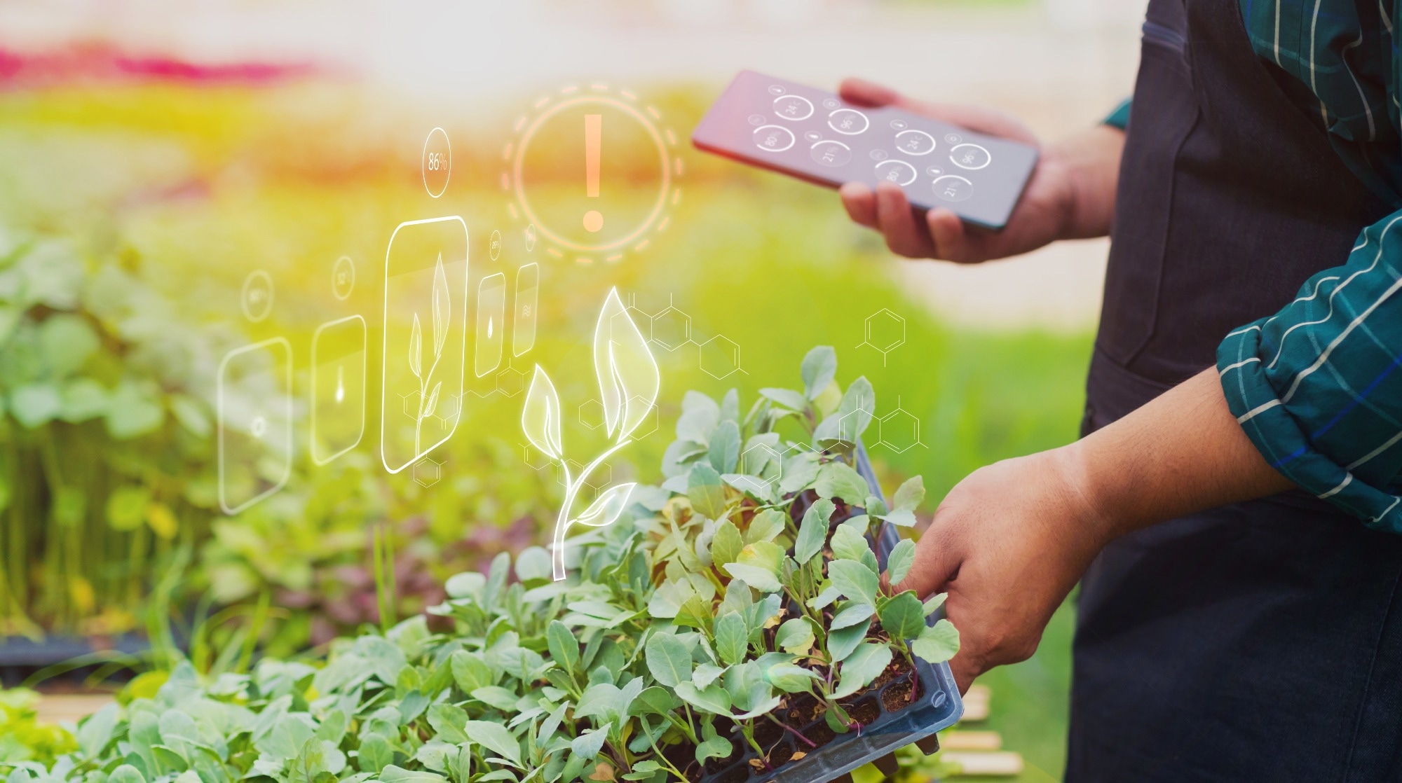 Study: Reinforcement Learning Simulates Climbing Plant Growth. Image Credit: Have a nice day Photo/Shutterstock.com